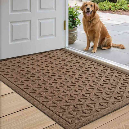 Cozy Water-Absorbent Doormat