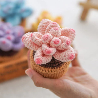 Crochet Potted Succulents