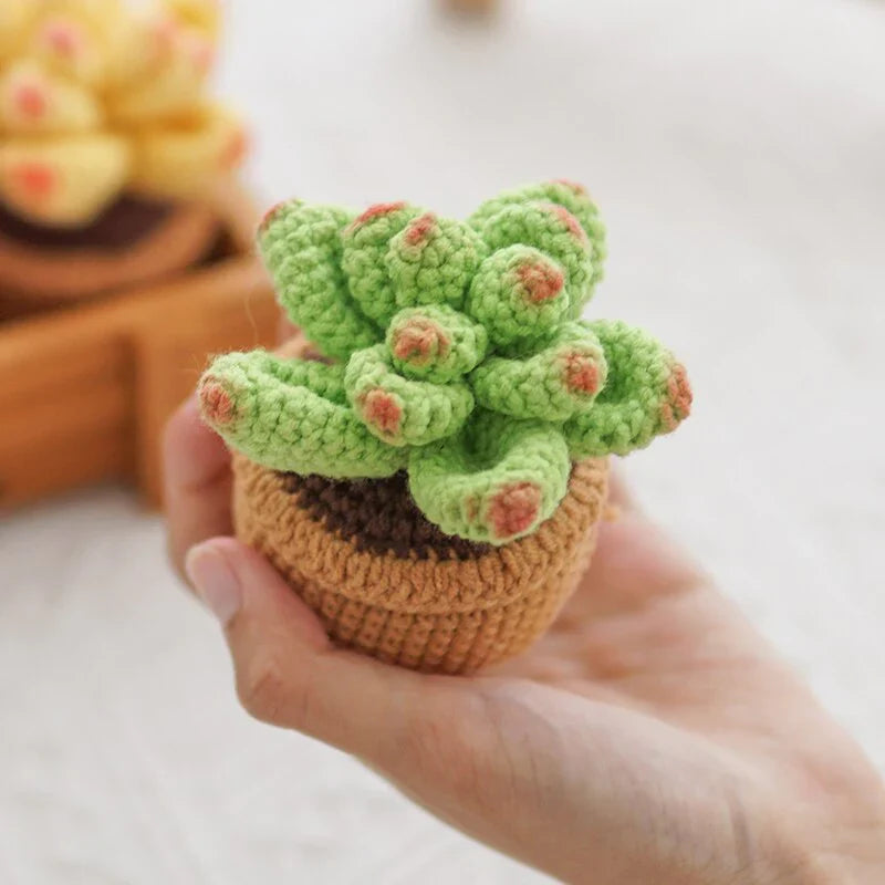 Crochet Potted Succulents