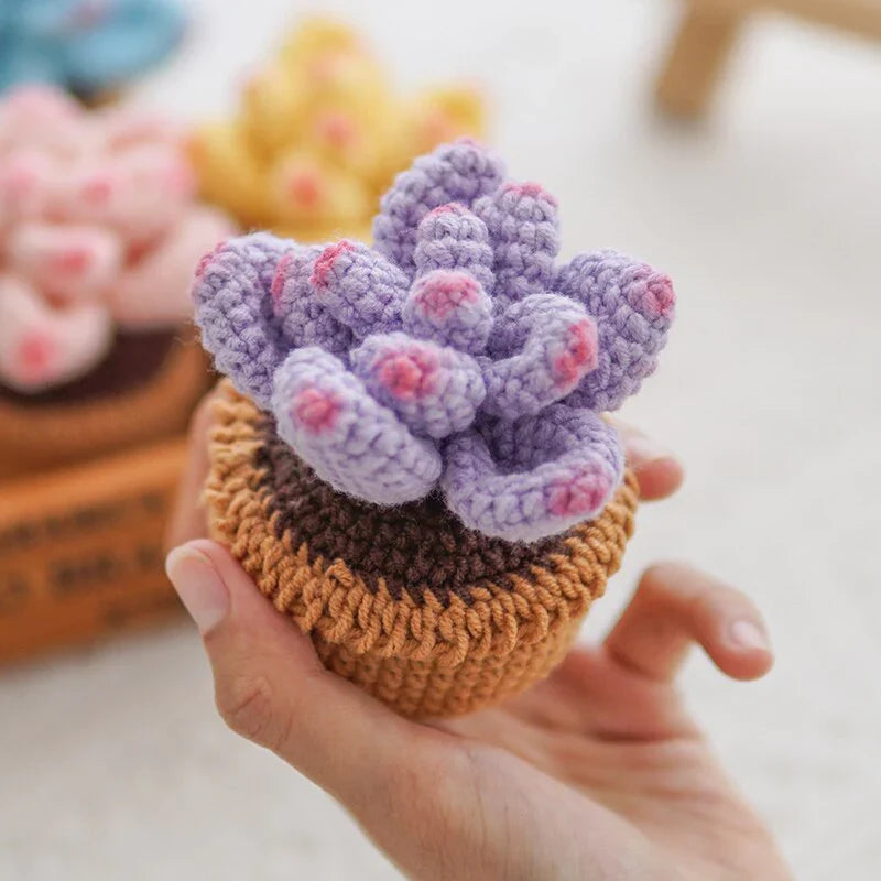 Crochet Potted Succulents