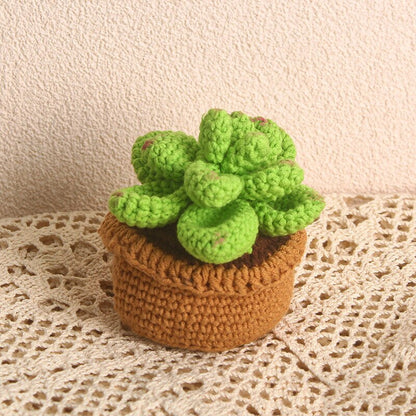 Crochet Potted Succulents