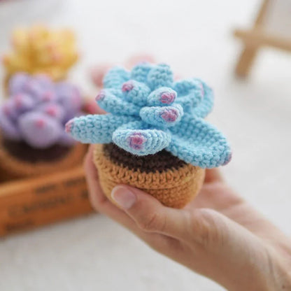 Crochet Potted Succulents