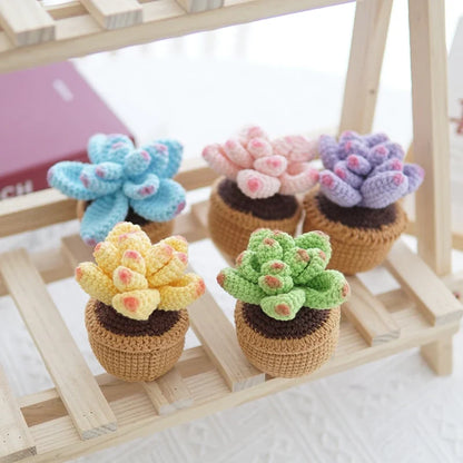 Crochet Potted Succulents