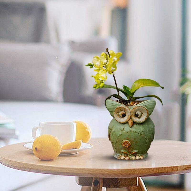 Crookshanks Owl Plant Ceramic Pot