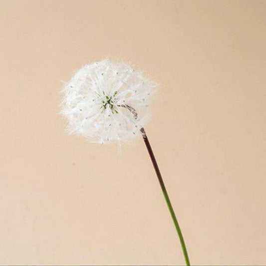 Dandelion Flower Stem