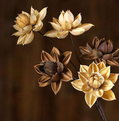 Dried Natural Lotus Flower