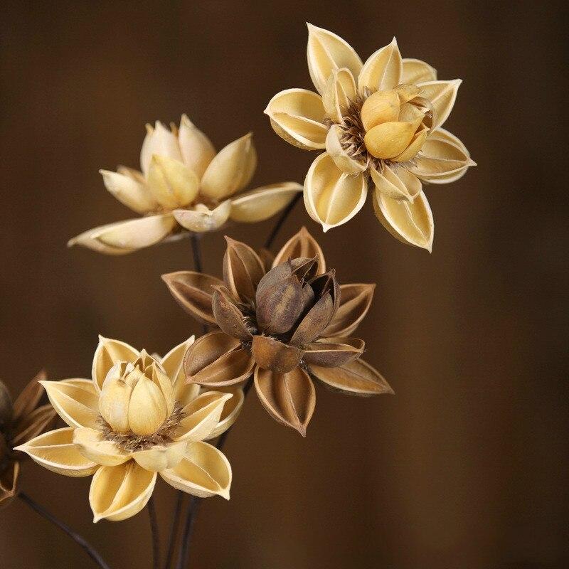 Dried Natural Lotus Flower