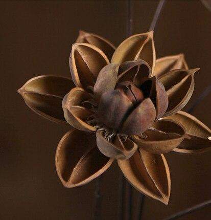 Dried Natural Lotus Flower