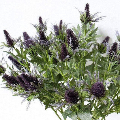 Eryngium Artificial Flower