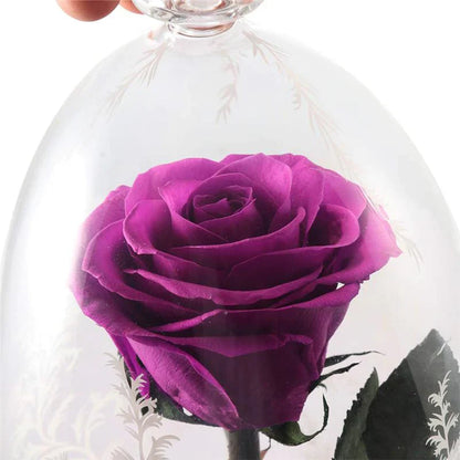 Eternal Rose In Glass Dome with LED Lights