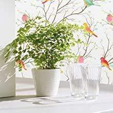 Frosted Bird Design Window Film