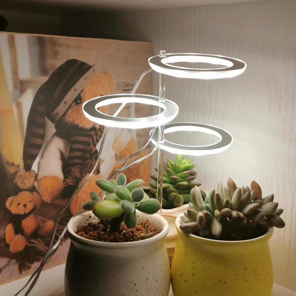 Angel Halo Grow Light