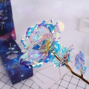 Galaxy Rose