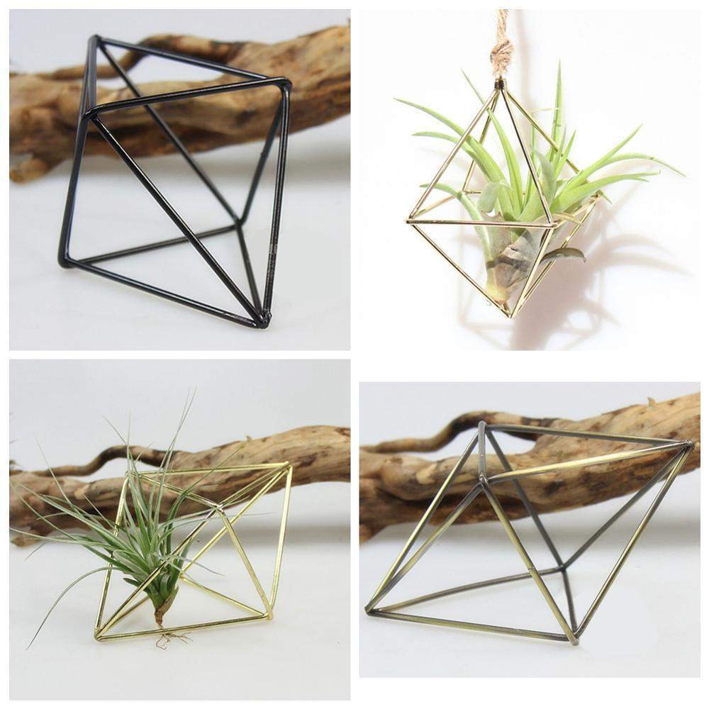 Geometric Air Plants Rack