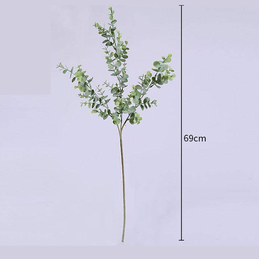 Green Eucalyptus Branch