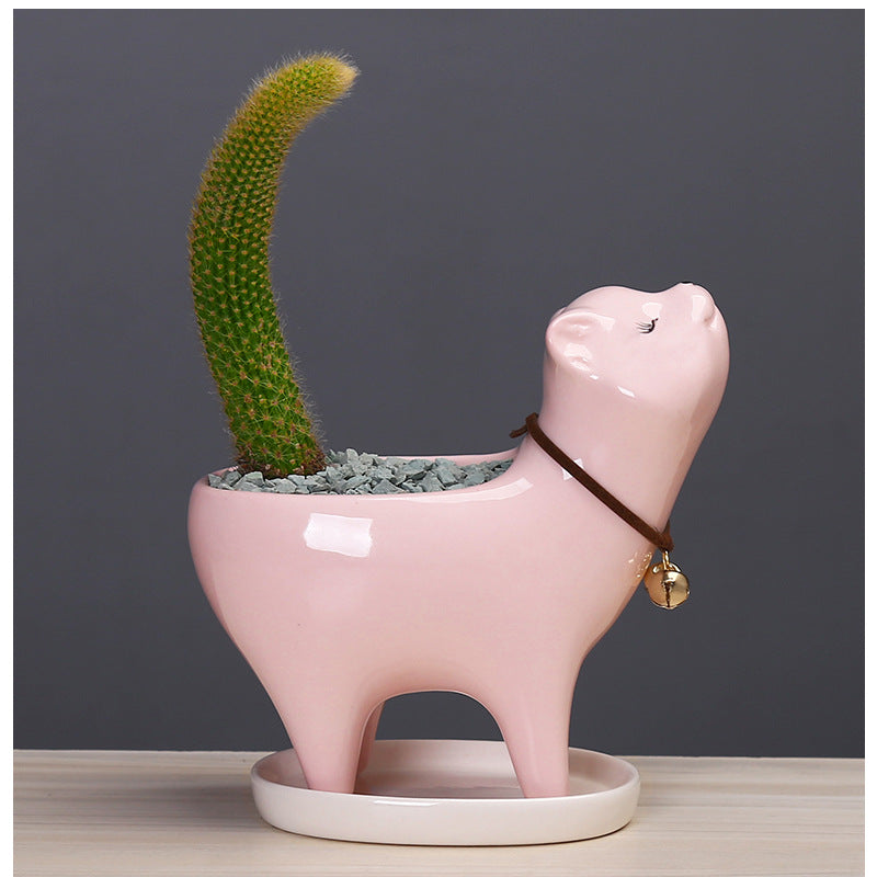 Ceramic Cat Tail Cactus Flowerpot