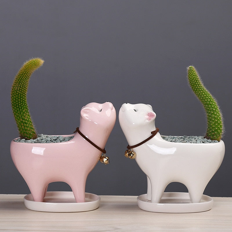 Ceramic Cat Tail Cactus Flowerpot