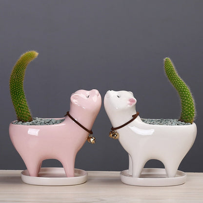 Ceramic Cat Tail Cactus Flowerpot