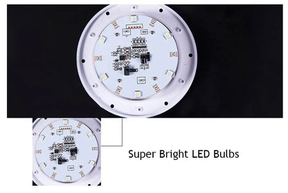 Luz de bola LED para exteriores