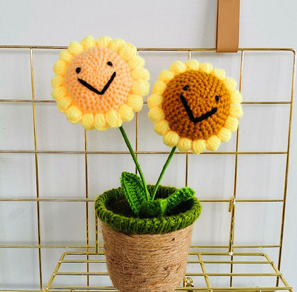 Hand-knitted Crochet Flower Pot