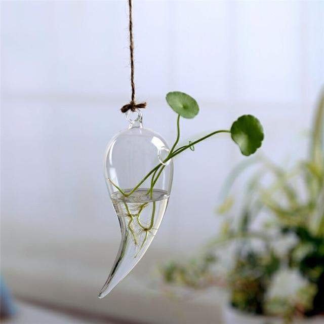 Hanging Terrarium Flower Vase