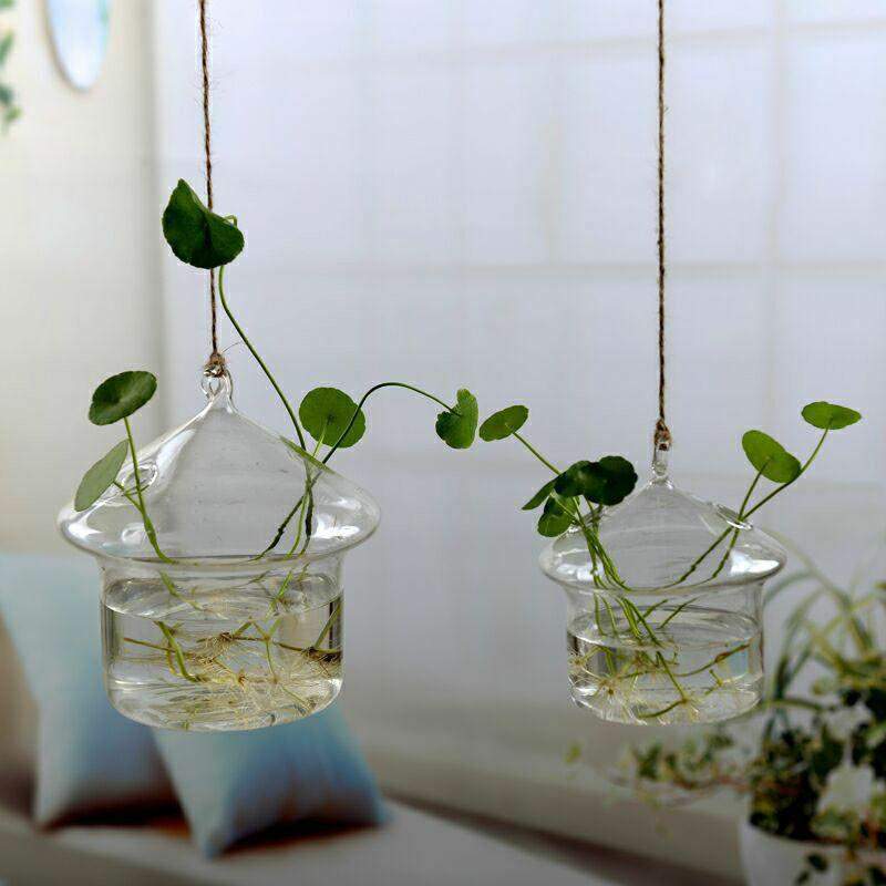 Hanging Terrarium Flower Vase