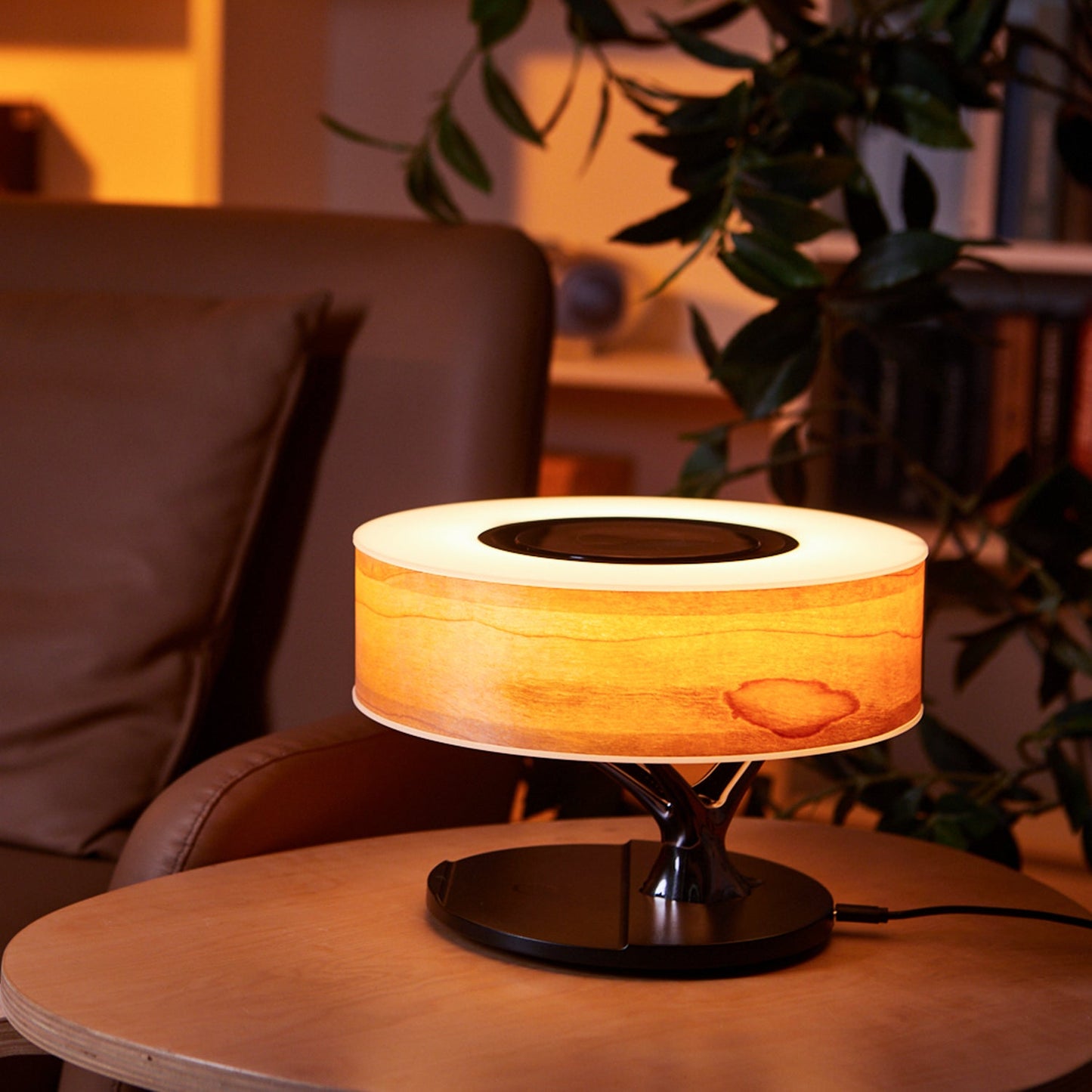 Horizon Bedside Lamp (Cherry Wood)