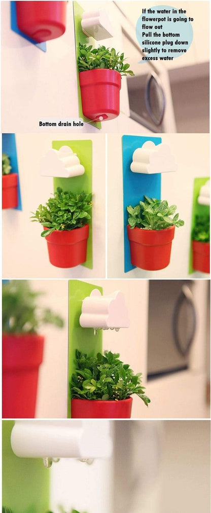 Hydroponics Plant Pot