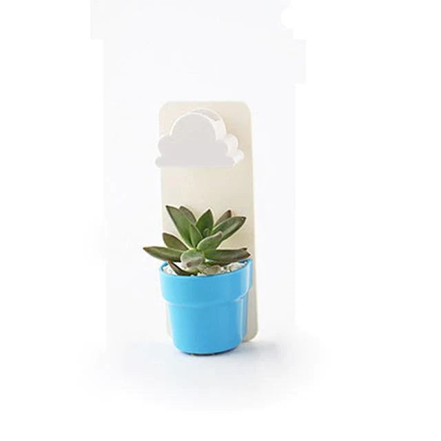 Hydroponics Plant Pot