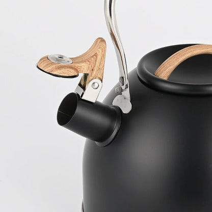 Polished Steel Whistling Kettle
