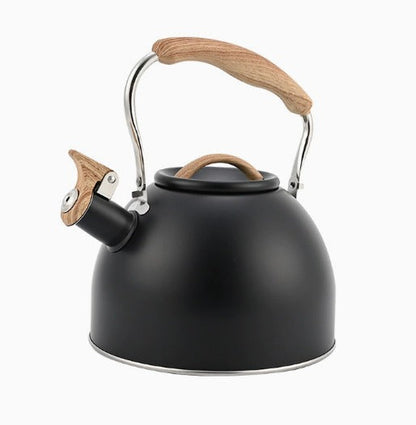 Polished Steel Whistling Kettle