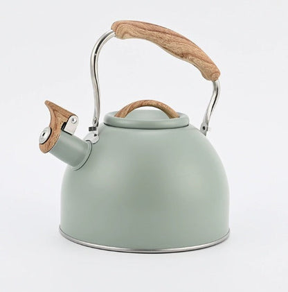 Polished Steel Whistling Kettle