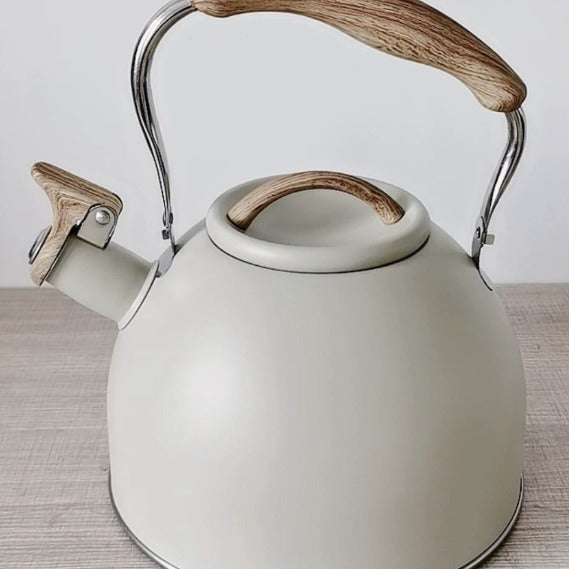 Polished Steel Whistling Kettle