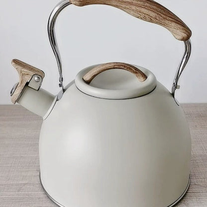 Polished Steel Whistling Kettle