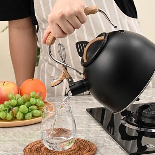 Polished Steel Whistling Kettle