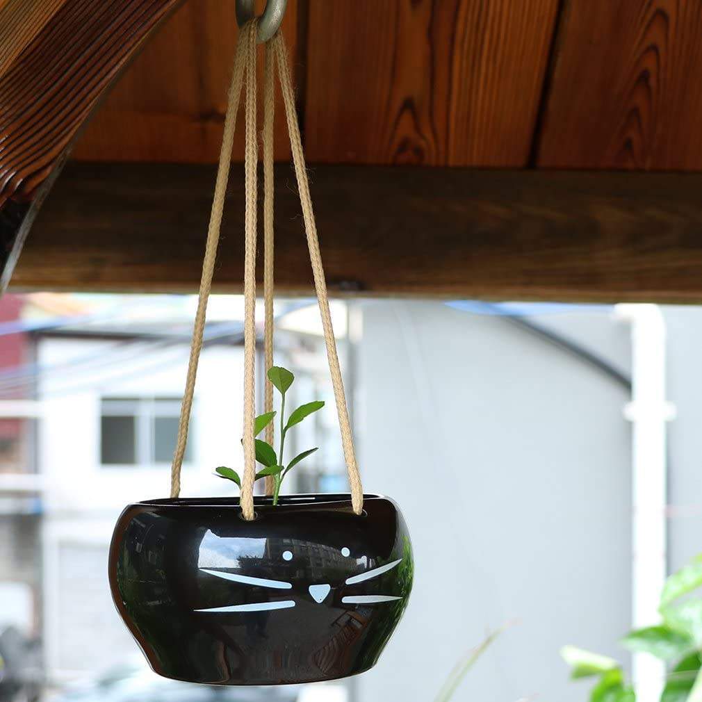 Kittens Hanging Flowerpot