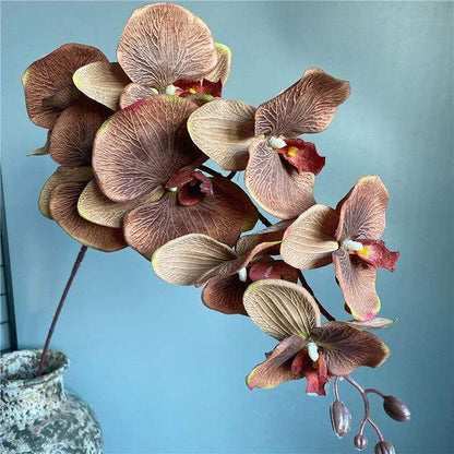 Large Butterfly Orchid (105cm)