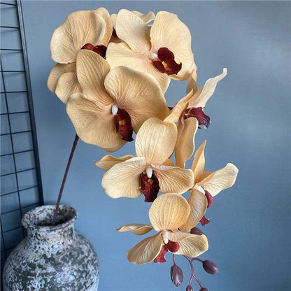 Large Butterfly Orchid (105cm)