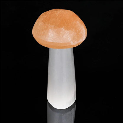 Large Selenite Mushroom Crystals