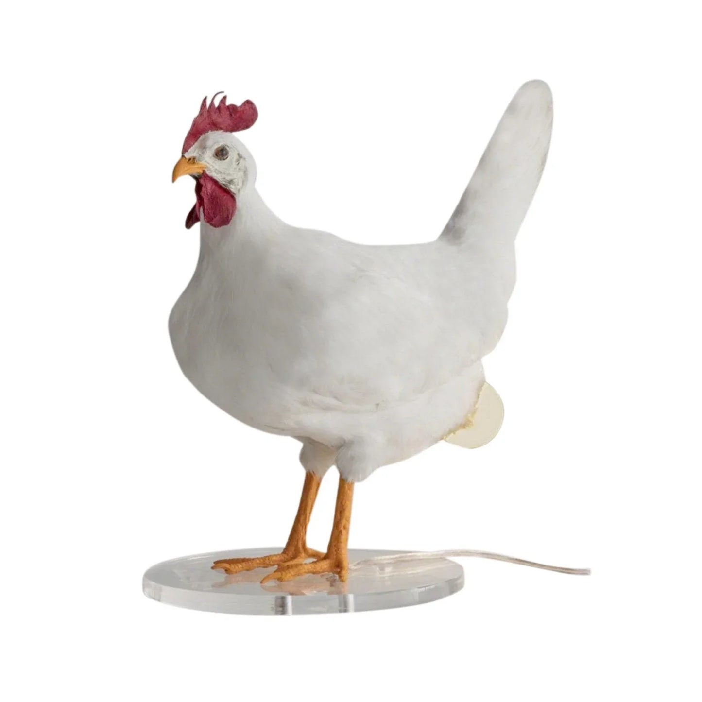 Laying Egg Chicken Lamp