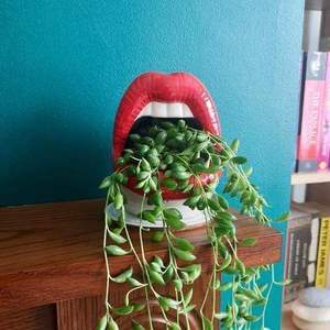 Lips Flower Pot