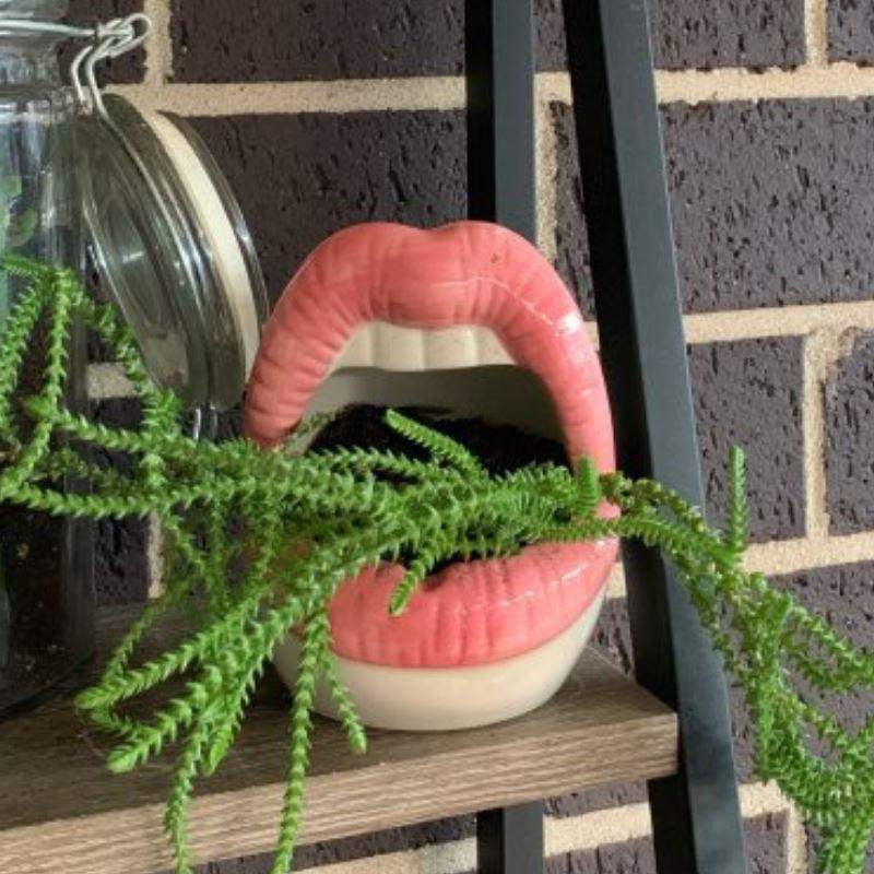 Lips Flower Pot