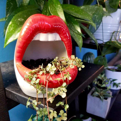 Lips Flower Pot