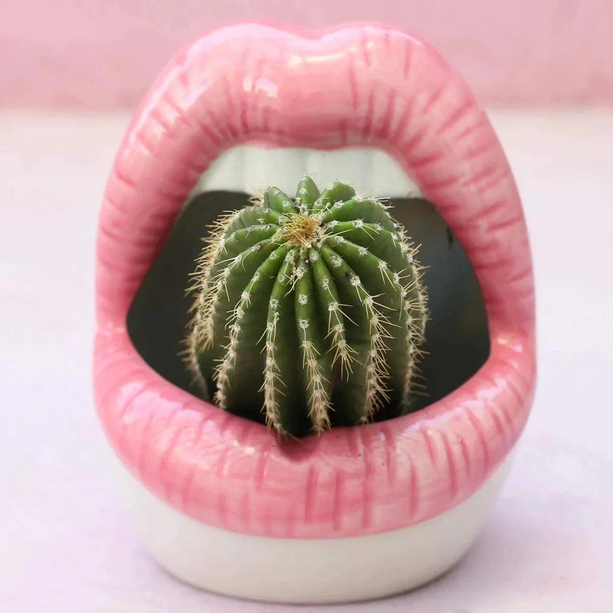 Lips Flower Pot