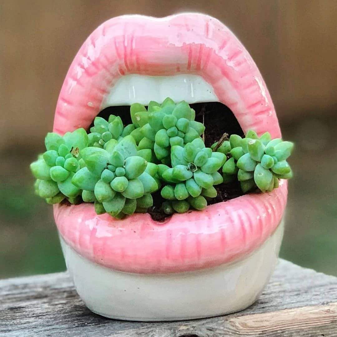 Lips Flower Pot