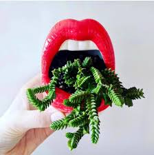 Lips Flower Pot