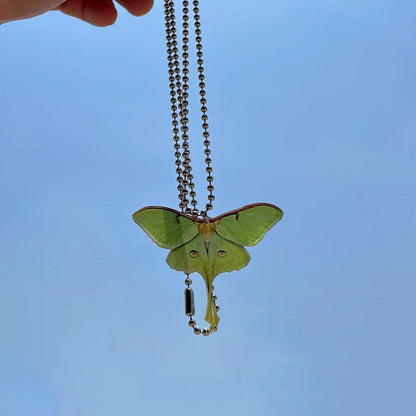 Luna Moth Earrings Earrings