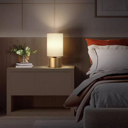 BAJE-3860  Modern Table Lamp