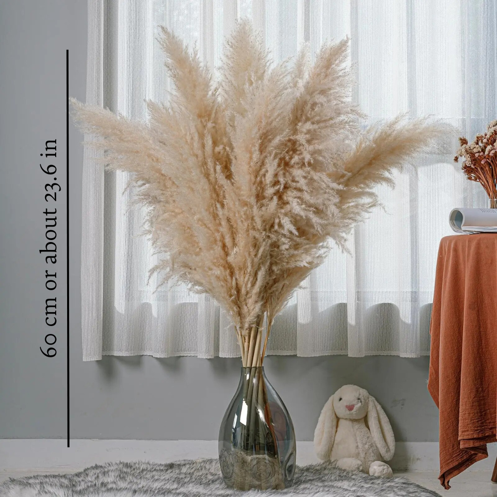 Pampas Grass Bouquet (Set of 5)