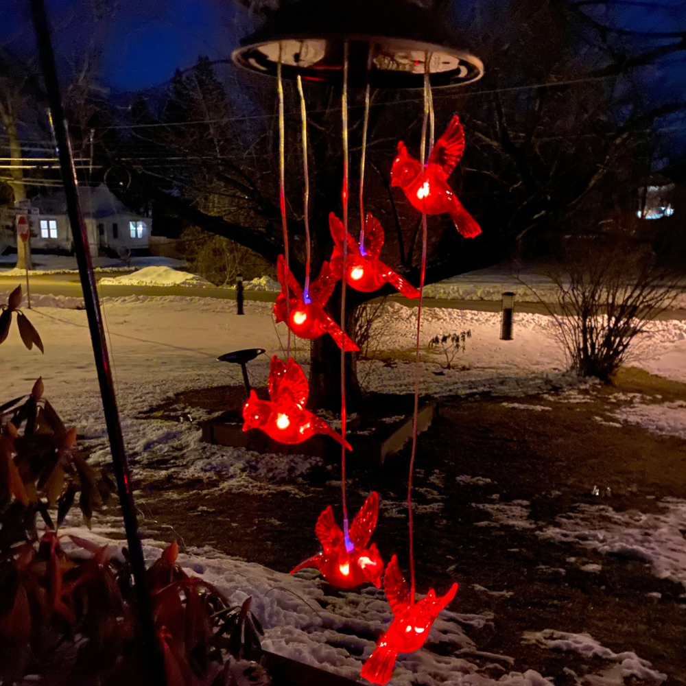 Red Bird Solar Light